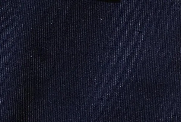 Wesley (Slim) - Navy Corduroy Chino